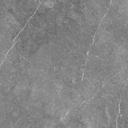1667986702-3-pgvt-grigio-marble-grey-f3-min-250x250.jpeg
